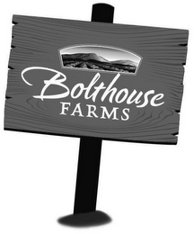 BOLTHOUSE FARMS logo