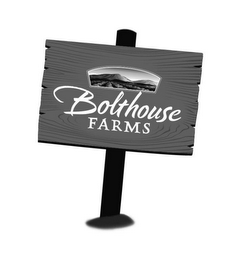 BOLTHOUSE FARMS logo