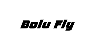 BOLU FLY logo
