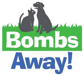 BOMBS AWAY! logo