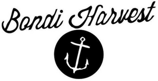 BONDI HARVEST logo