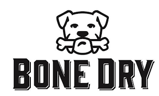 BONE DRY logo