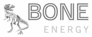 BONE ENERGY logo