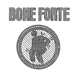BONE FORTE logo