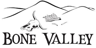 BONE VALLEY logo