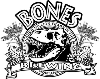 BONES BREWING ONE HUNDRED MILLION YEARS IN THE MAKING MONTANA logo