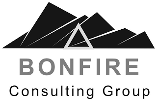 BONFIRE CONSULTING GROUP logo