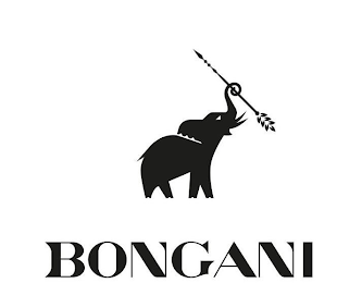 BONGANI logo