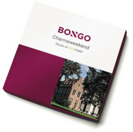 BONGO CHARMEWEEKEND KEUZE UIT (28) HOTELS logo
