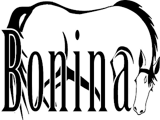 BONINA logo