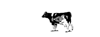 BONITA logo