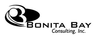 BONITA BAY CONSULTING, INC. logo