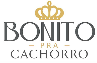 BONITO PRA CACHORRO logo