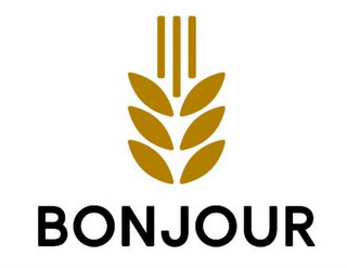 BONJOUR logo