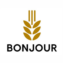 BONJOUR logo