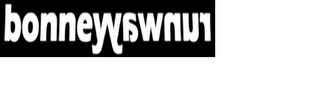 BONNEYRUNWAY logo
