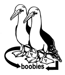 BOOBIES logo