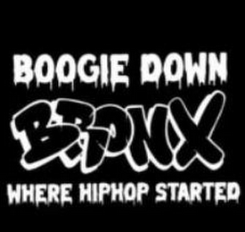 BOOGIE DOWN BRONX WHERE HIPHOP STARTED logo