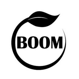 BOOM logo