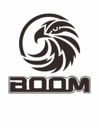 BOOM logo