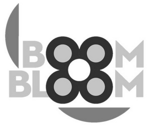 BOOM BLOOM logo