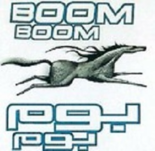 BOOM BOOM logo