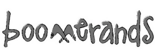 BOOMERANDS logo