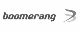 BOOMERANG B logo
