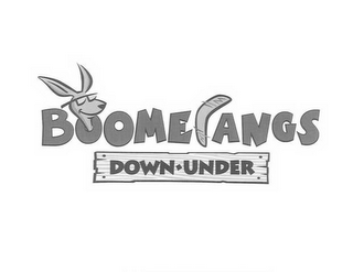 BOOMERANGS DOWN·UNDER logo