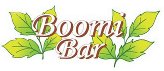 BOOMI BAR