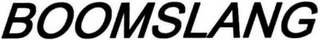 BOOMSLANG logo