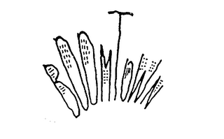 BOOMTOWN logo