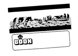 BOON logo