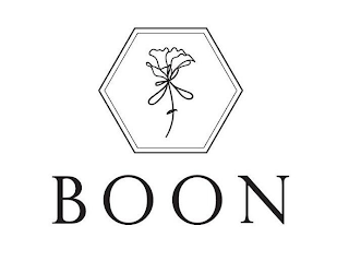 BOON logo