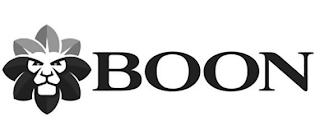 BOON logo
