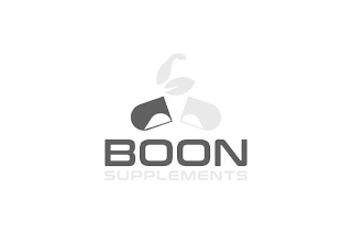 BOON SUPPLEMENTS logo