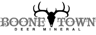 BOONE TOWN DEER MINERAL logo