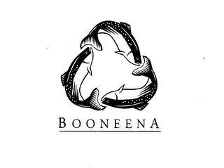 BOONEENA logo