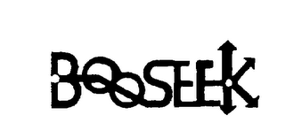 BOOSEEK logo