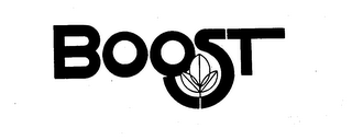 BOOST logo