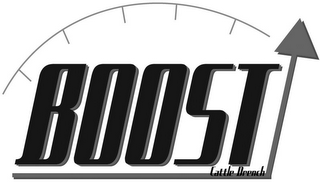 BOOST CATTLE DRENCH logo