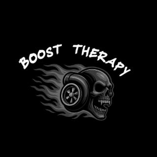BOOST THERAPY logo