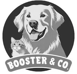 BOOSTER & CO. logo