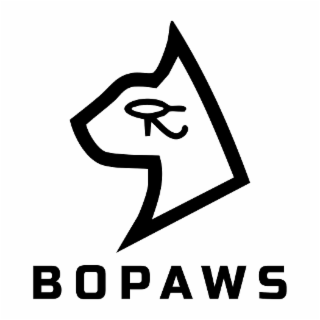 BOPAWS logo