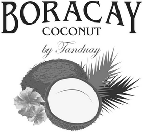 BORACAY COCONUT BY TANDUAY logo