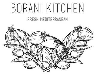 BORANI KITCHEN FRESH MEDITERRANEAN logo