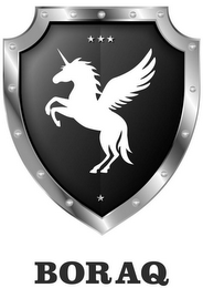 BORAQ logo