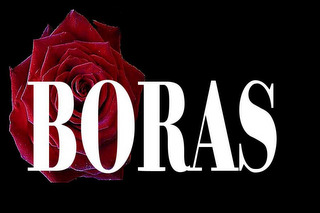 BORAS logo