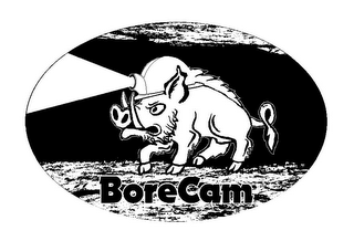 BORECAM logo