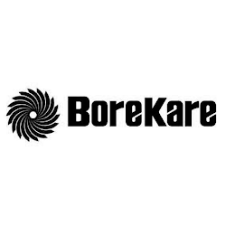 BOREKARE logo